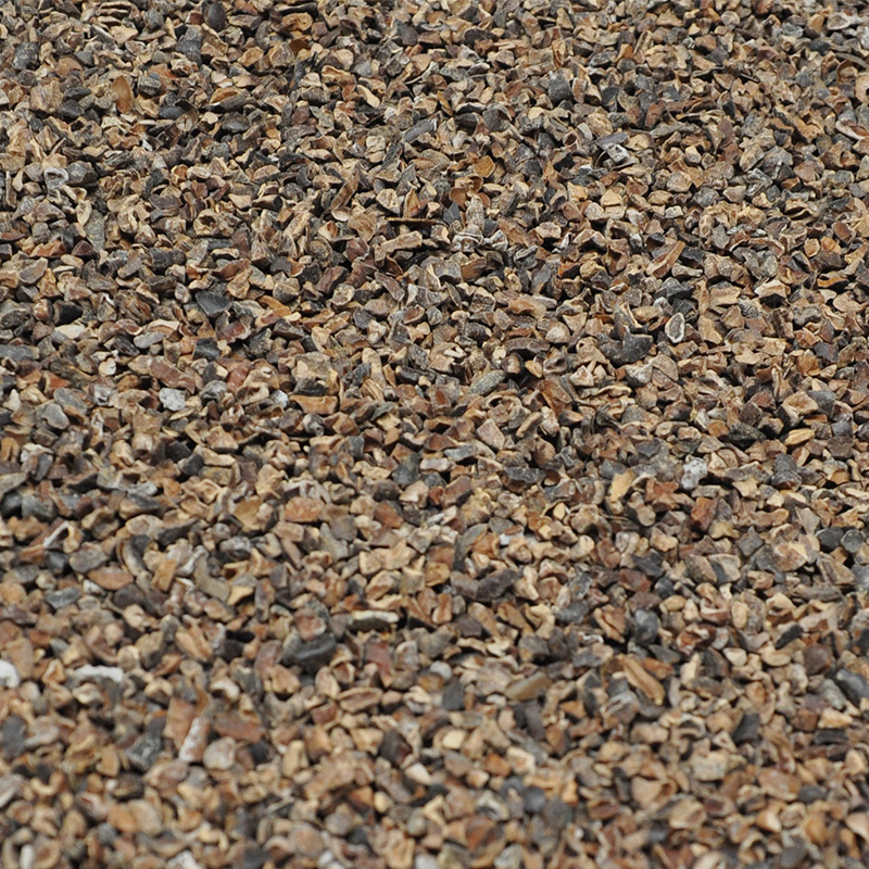 Cacao Nibs